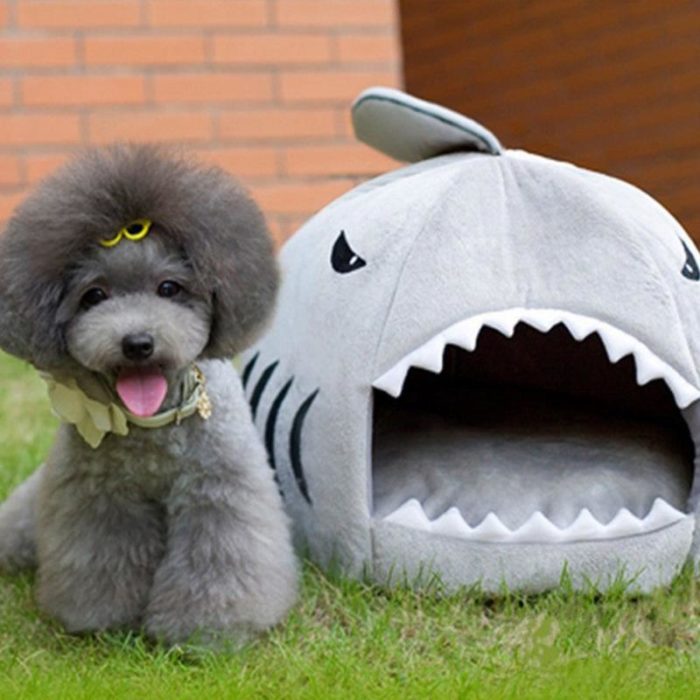 מיטה לכלב ולחתול בצורת כריש