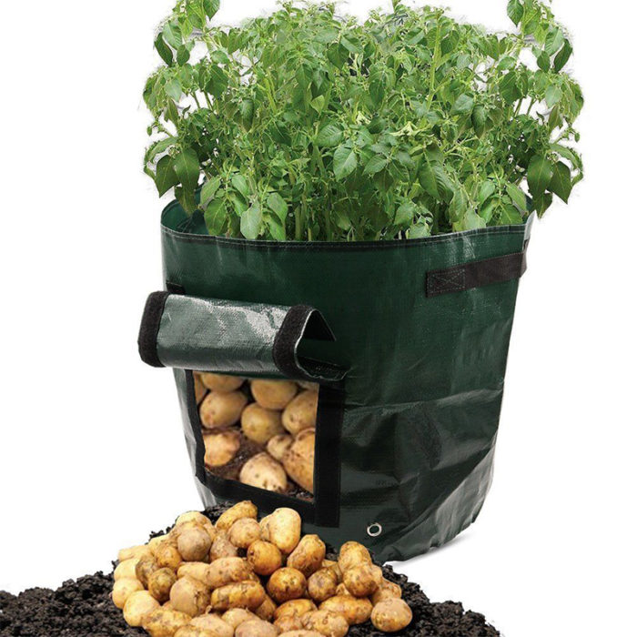 שק גידול ירקות שורש עם פתח קטיפה ללא פגיעה בצמח