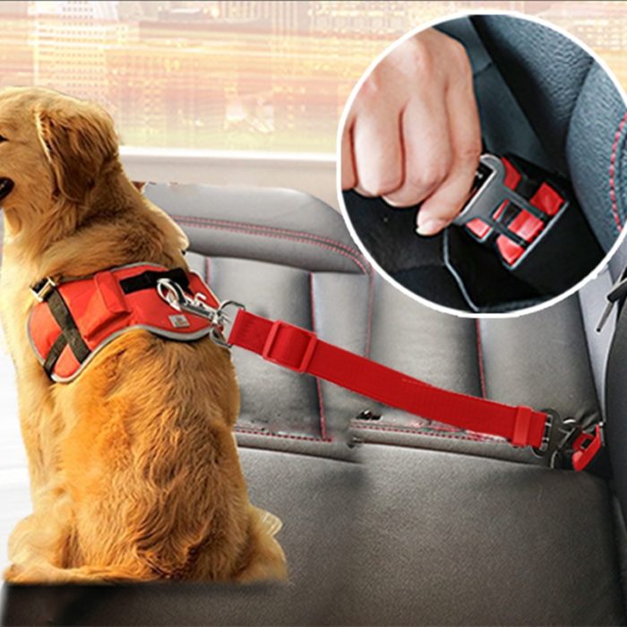 רצועת חגורה לכלב לנסיעה בטוחה ברכב
