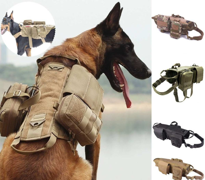 רתמה צבאית לכלבים