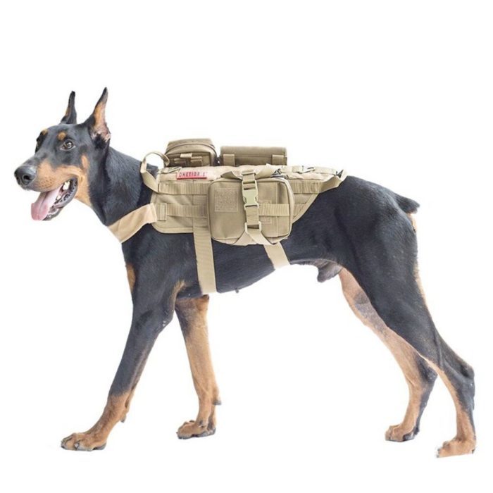 רתמה צבאית לכלבים