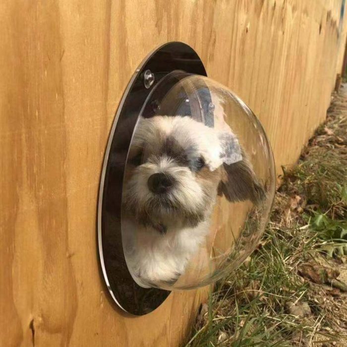 חלון בועה לגדר לכלבים
