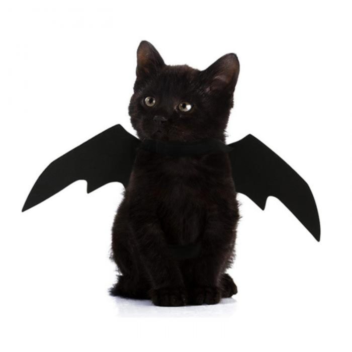 תחפושת כנפי עטלף לחתול