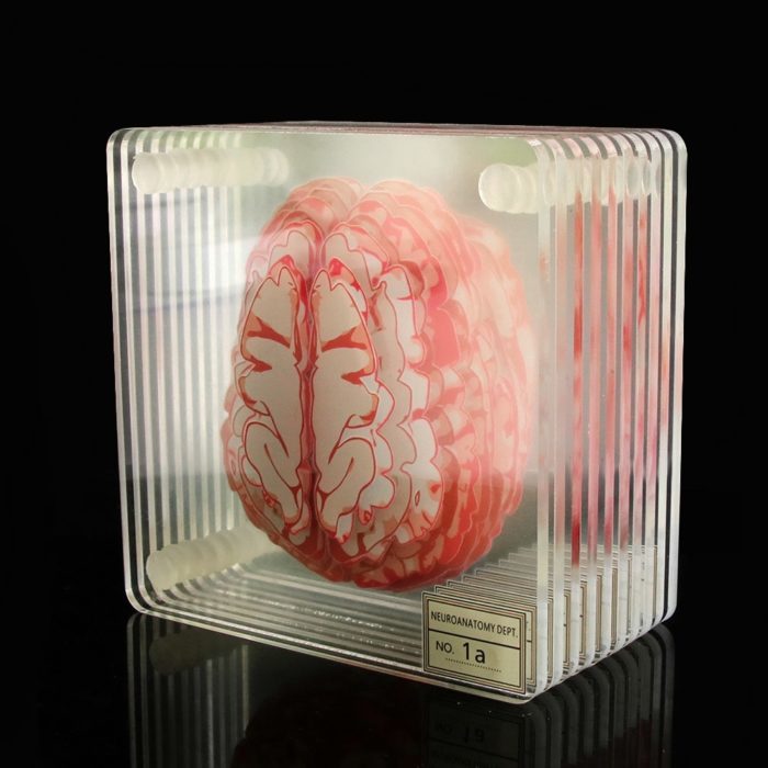 10 תחתיות לכוסות עם עיצוב של מוח מדליק