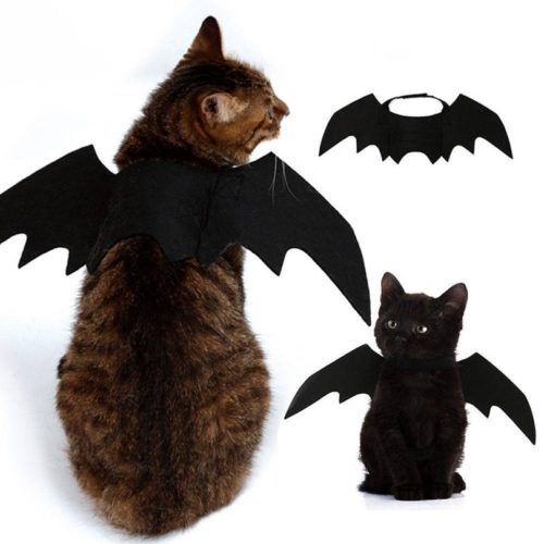 תחפושת עטלף לחתול