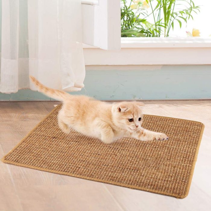 שטיחון משטח שריטות לחתולים