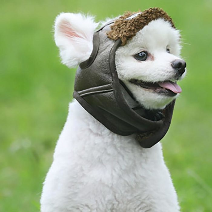 כובע טייסים מעוצב מעור לכלבים
