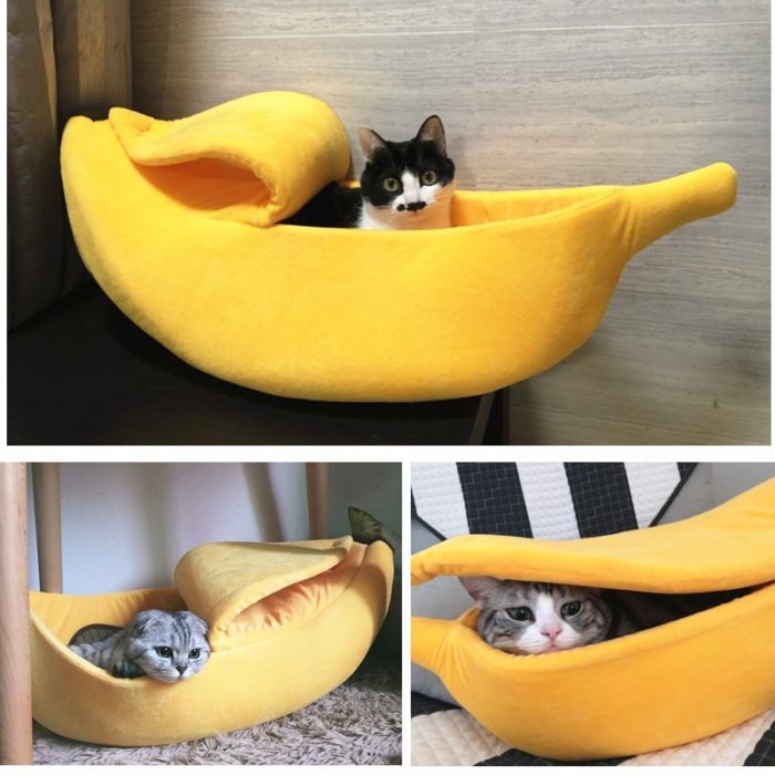 מיטה בצורת בננה לחיות מחמד