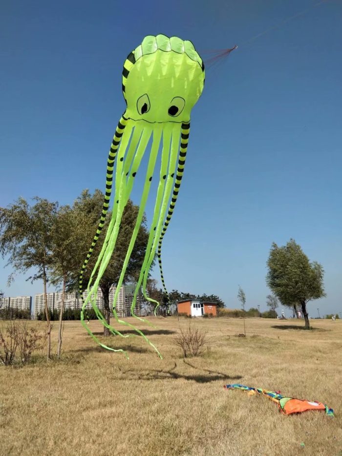 עפיפון בצורת תמנון ענק
