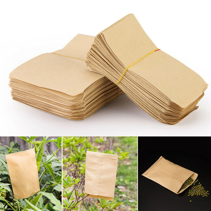 100 מעטפות נייר לאחסון זרעים