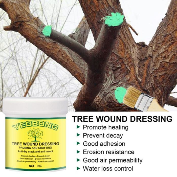חומר אוטם ומרפא פגיעות בעץ מתייבש במהירות עם מברשת