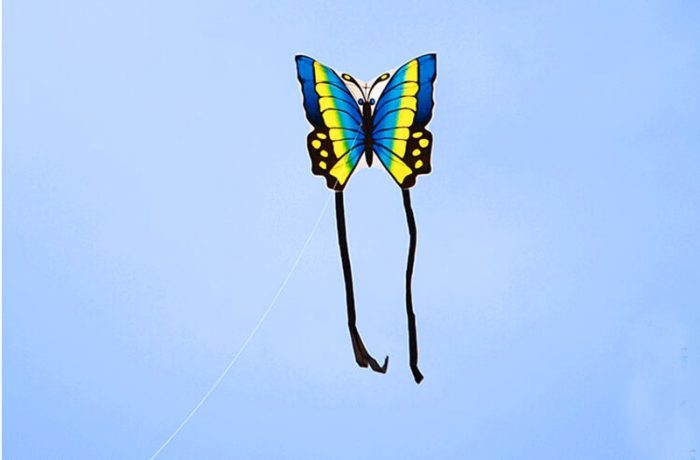 עפיפון בצורת פרפר גדול עם חוט 100 מטר