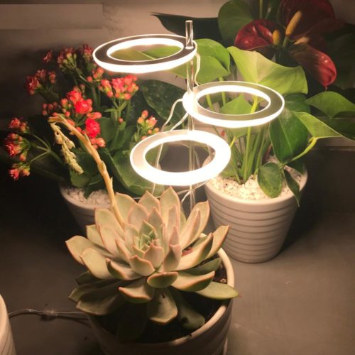 מנורת לד לסיפוק תאורה לצמחים רחוקים מהשמש