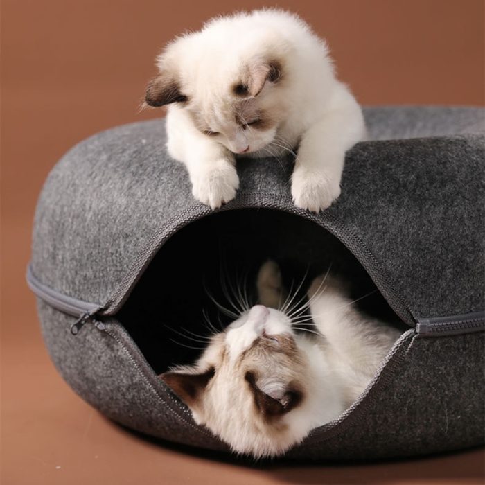 מיטת מערה לחתולים