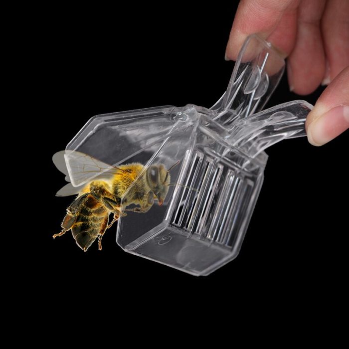 5 קליפסים לתפיסת דבורים מבלי לפגוע בהן