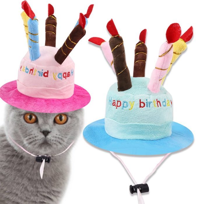 כובע יום הולדת לכלב ולחתול