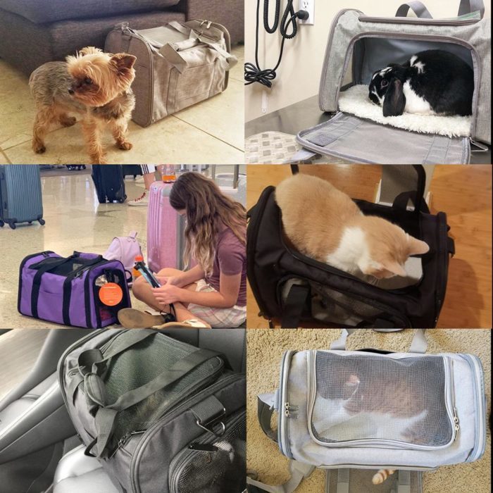 תיק נשיאה לחתולים וכלבים בנסיעות