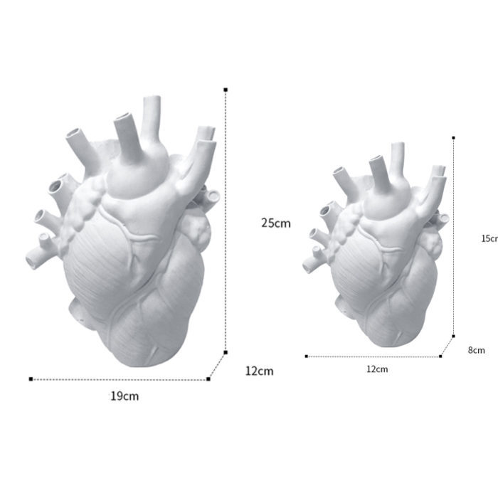 אגרטל בעיצוב לב אנושי אנטומי
