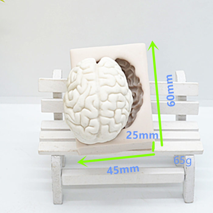 תבנית סיליקון להכנת שוקולד בצורת מוח תחת מימד