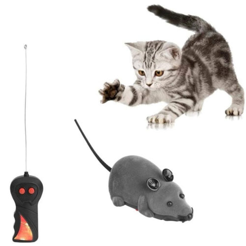 עכבר צעצוע על שלט