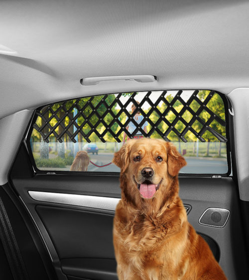מגן חלון רכב לכלבים למניעת הוצאת ראש ונפילות