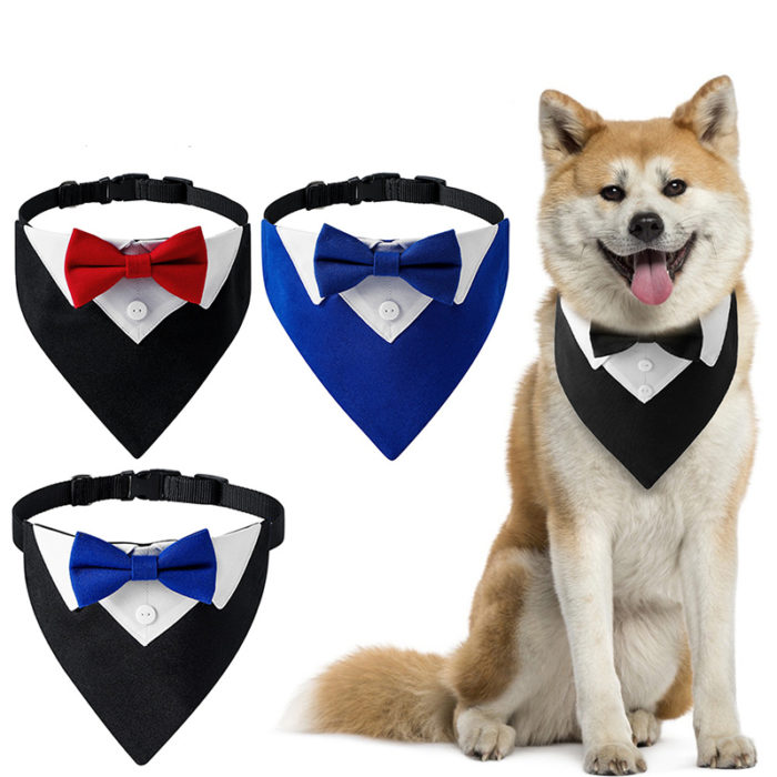 עניבה חגיגית לכלב
