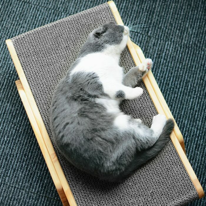 מיטה משולבת משטח גירוד לחתולים