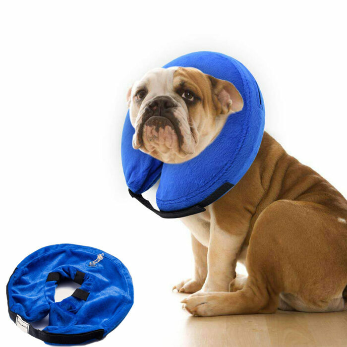 כרית קונוס מתנפחת לצוואר של הכלב לריפוי מניתוחים ופציעות