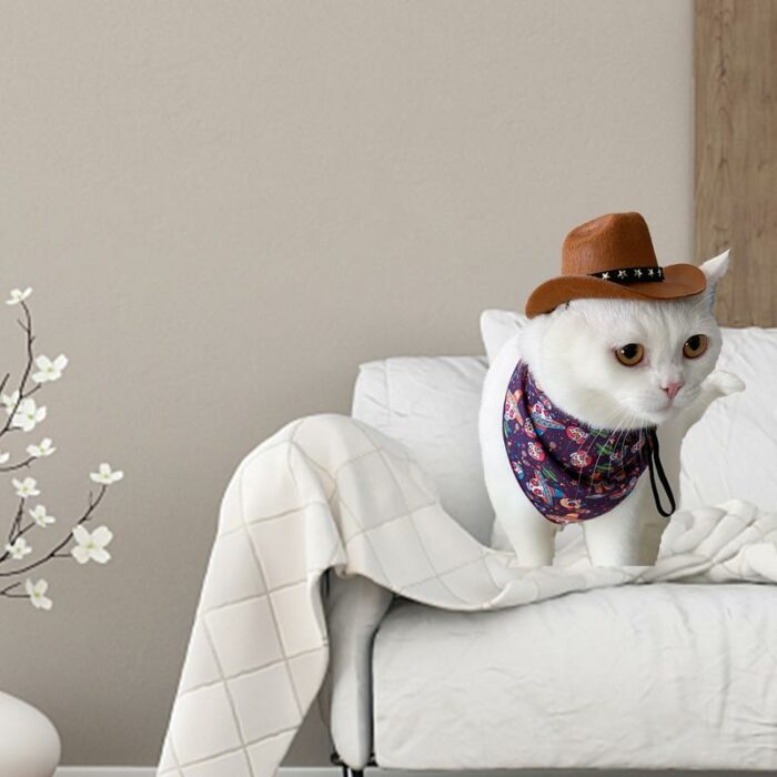 כובע קאובוי לחתולים