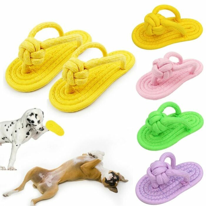 צעצוע לעיסה לכלב בצורת כפכף