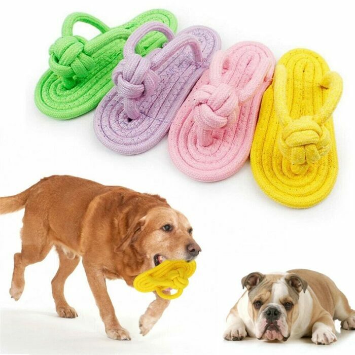 צעצוע לעיסה לכלב בצורת כפכף