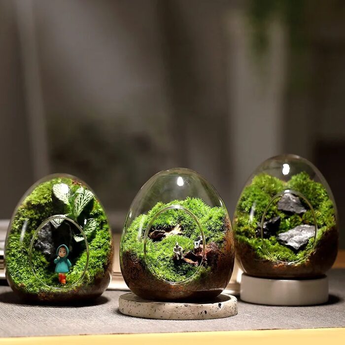 אגרטל בעיצוב ביצת אקווריום מזכוכית שקופה לגידול צמחים והידרופוניקה