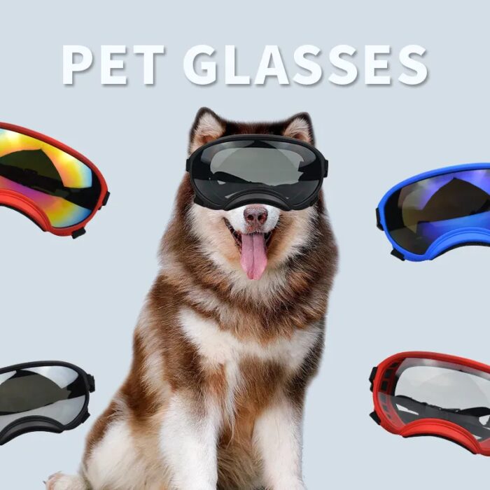 משקפי שמש ספורטיביים לכלבים להגנה משמש, רוח וערפל עם רצועה מתכווננת
