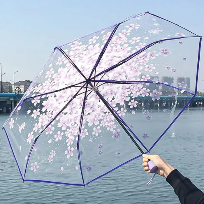 מטריה שקופה עם עיצוב קוריאני פרחוני