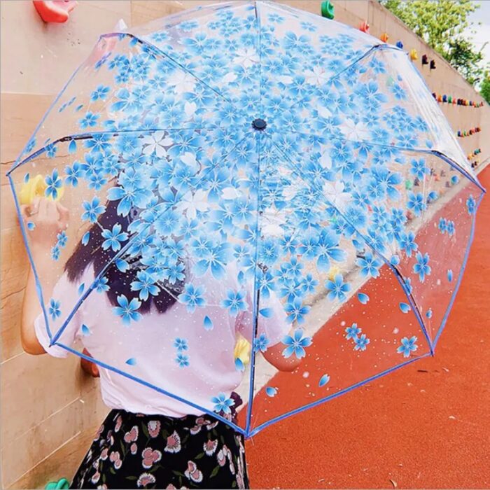 מטריה שקופה עם עיצוב קוריאני פרחוני