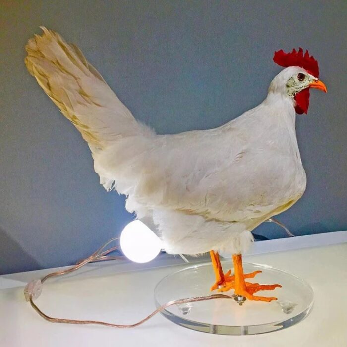 מנורת לילה בעיצוב תרנגולת מטילה ביצה