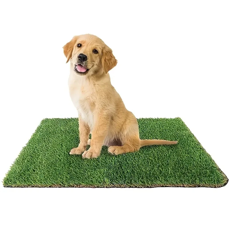משטח דמוי דשא במגוון גדלים לאימון כלבים לעשיית צרכים