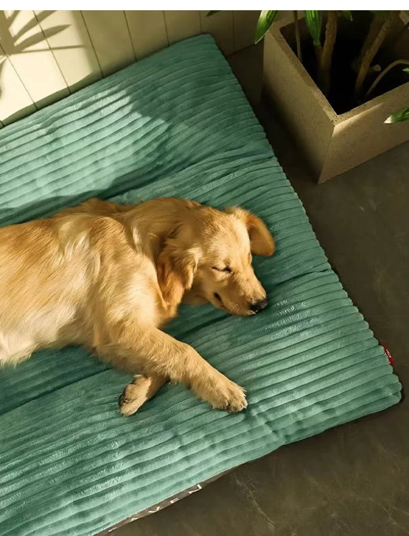 מיטת כלבים מפנקת רכה מקטיפה ניתנת לניקוי בקלות במגוון גדלים לכל סוגי הכלבים