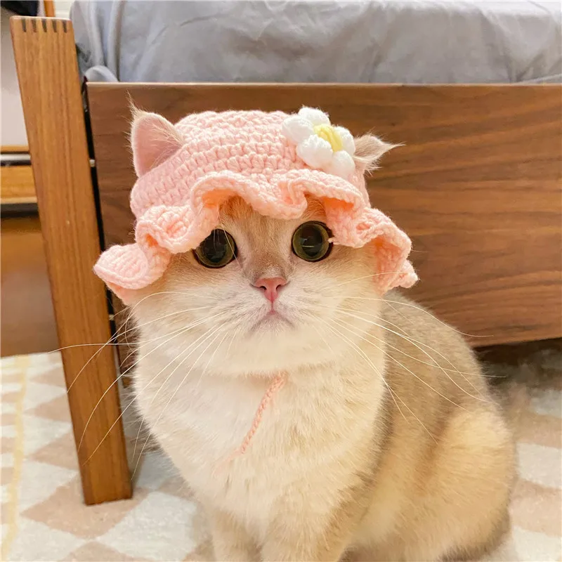 כובע סרוג חמוד במגוון סגנונות לחתולים וכלבים קטנים