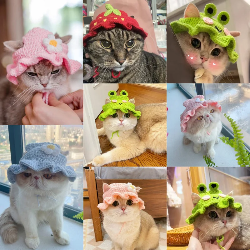 כובע סרוג חמוד במגוון סגנונות לחתולים וכלבים קטנים