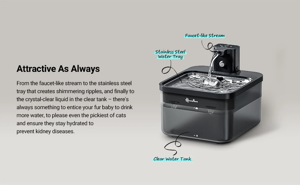 מזרקת מים אוטומטית נטענת לחתולים 2.5 ליטר מנירוסטה עם חיישן תנועה